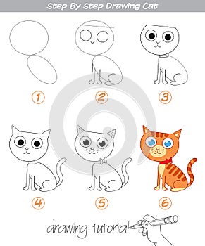 Drawing tutorial. Step by step drawing Cat photo