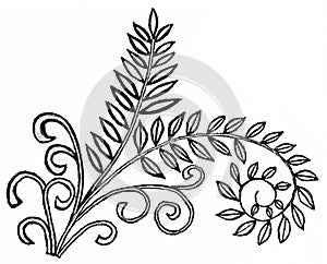 A drawing of a twig with leaves and tendrils.