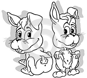 Drawing of a Two Cute Bunnies Sitting on the Ground