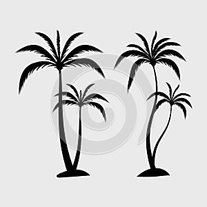 A drawing of two palm trees with the word palm on the bottom.