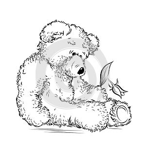 Drawing unhappy Teddy Bear with broken flower