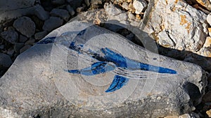 Drawing of a whale on a stone by the sea