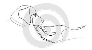 Drawing of a woman\'s hand and a small puppy 3