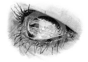 Drawing Of Womanâ€™s Eye in Three-Quarter Profile