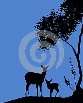 Drawing of Young and Adult Deer Standing during evening in a dark tree and blue sky background