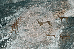 Drawings in the cave. Prehistoric people hunt animals. photo