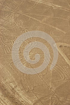 Drawings, Nazca lines ( lineas de nazca ) in the desert of nazca - Peru. Landmark - High quality photo photo