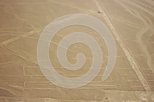 Drawings, Nazca lines ( lineas de nazca ) in the desert of nazca - Peru. Landmark - High quality photo photo