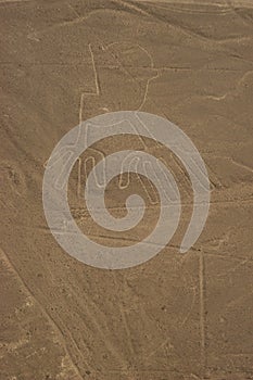 Drawings, Nazca lines ( lineas de nazca ) in the desert of nazca - Peru. Landmark - High quality photo photo