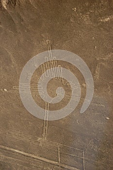 Drawings, Nazca lines ( lineas de nazca ) in the desert of nazca - Peru. Landmark - High quality photo