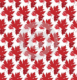 Drawn autumn background with beautiful leaves . Seamless pattern. Red maple leaves, Vector isolated or white background