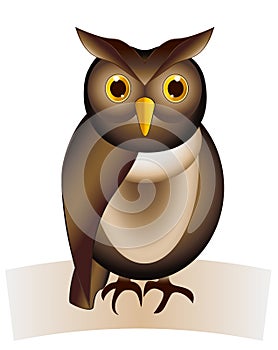 Drawn funny little brown Owl