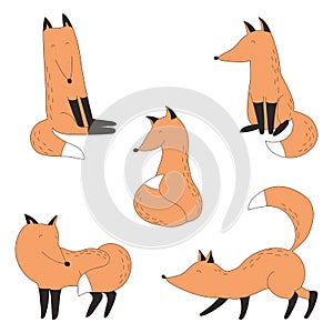 Drawn funny red fox set.