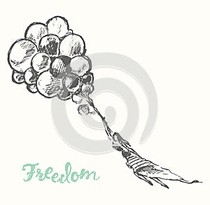 Drawn girl balloons freedom concept Vector sketch