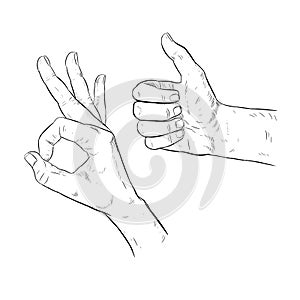 Drawn hand OK gesture. Thumbs up. Assent. Vector illustration