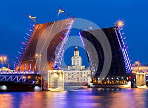 Drawn Palace Bridge and Kunstkamera at white night, Saint Petersburg, Russia