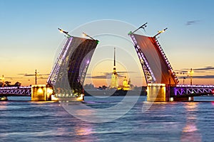 Drawn Palace Bridge and Peter and Paul Fortress at summer night, St. Petersburg, Russia