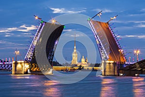 Drawn Palace Bridge and Peter and Paul Fortress at white night, St. Petersburg, Russia