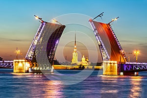 Drawn Palace Bridge and Peter and Paul Fortress at white night, St. Petersburg, Russia