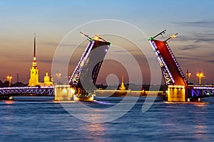 Drawn Palace Bridge and Peter and Paul Fortress at white night, St. Petersburg, Russia