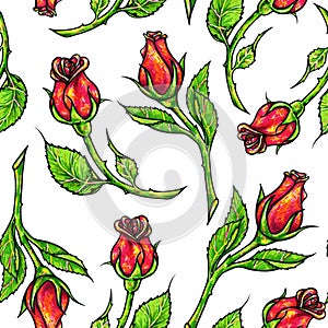 Drawn red roses seamless background. Flowers illustration front view. Handwork by felt-tip pens.