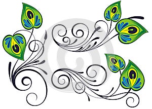 Drawn, stylized, vector peacock feathers. Floral design . Vector illustration