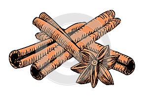 Drawn vintage cinnamon