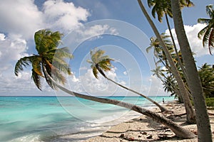 Un sogno Spiaggia 