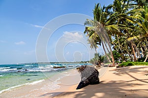 A dream beach at the Indian Ocean