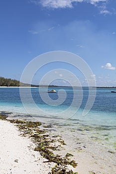 Dream beach in zanzibar