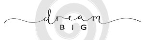 DREAM BIG black brush calligraphy banner