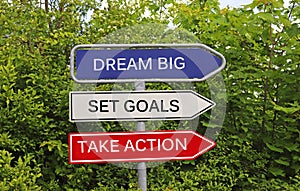 Dream big, set goals, take action