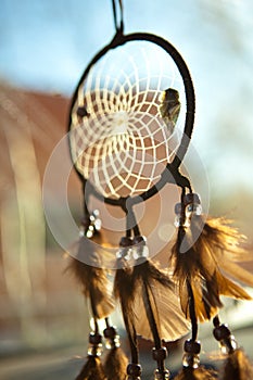 Dream Catcher