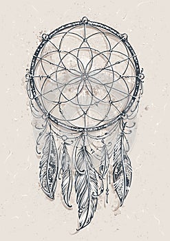 Dream Catcher photo