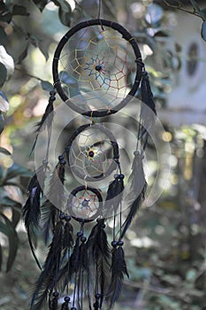 Dream catcher black colour tress on background