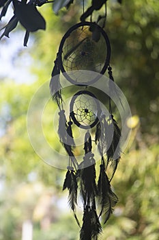 Dream catcher black colour tress on background