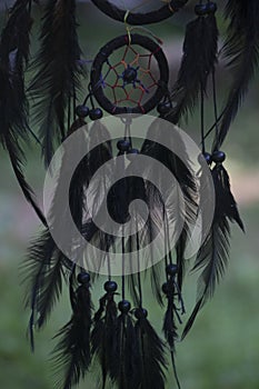 Dream catcher black colour tress on background