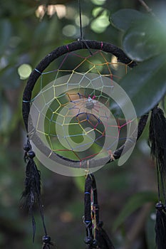 Dream catcher black colour tress on background