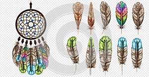 Dream catcher vector illustration. Boho bohemian dream catcher. Feathers colorful color. On transparent background