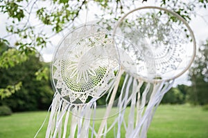 Dream catchers on a green background