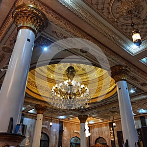 Dream dream companion the dream