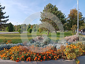 Dream like autumn cocktails of colors and diversities, in a city renowned of artistic garden in Samarkand, Uzbekistan photo