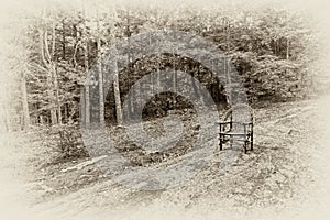 Dream look of a chair in the woods