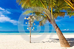 Dream scene. Beautiful palm tree over white sand beach. Summer n