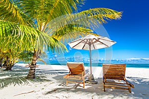 Beautiful beach with palm trees and moody sky. Summer vacation travel holiday background concept. Maldives paradise beach