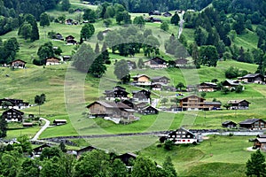 Dream slopes in Grindelwald