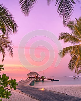 Dream travel landscape, vertical panorama with palm trees and wooden pier water villa. Tranquil exotic beach