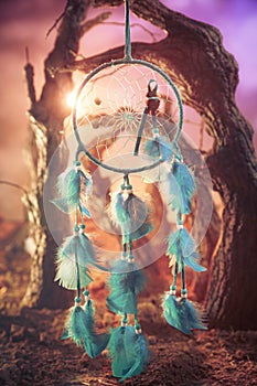 Dreamcatcher on a forest at sunset