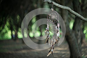 Dreamcatcher, magical spiritual Indian shaman amulet, mystical.