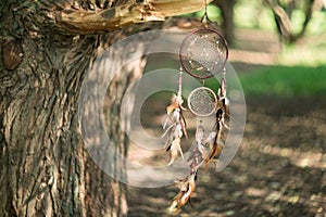 Dreamcatcher, magical spiritual Indian shaman amulet, mystical.